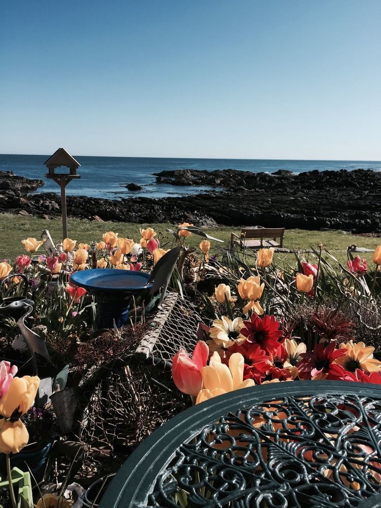 Pew With A View - Seafront Cottages Rosehearty Экстерьер фото