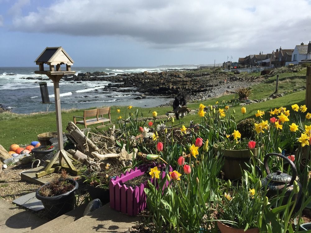 Pew With A View - Seafront Cottages Rosehearty Экстерьер фото